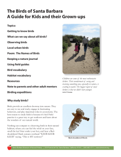 The Birds of Santa Barbara A Guide for Kids and their Grown-ups