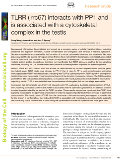 TLRR (lrrc67) interacts with PP1 and is associated with a