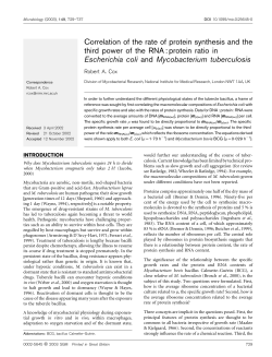 Correlation of the rate of protein synthesis and the third power of the