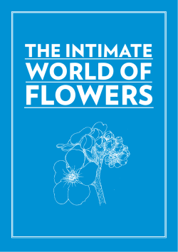 flowers - Kulturskafferiet
