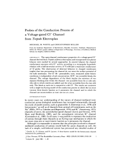 Probes of the Conduction Process of a Voltage