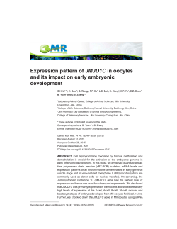 Expression pattern of JMJD1C in oocytes and its