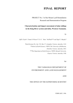 Mt Lyell Literature Synopsis