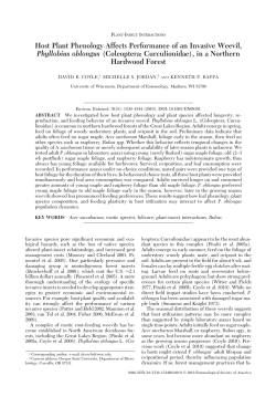 Host Plant Phenology Affects Performance of an Invasive Weevil