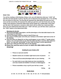 CREATE A CHARACTER 6) Have fun and be sure to