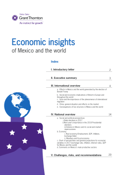 Economic insights - Salles Sainz Grant Thornton