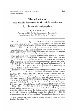The induction of hair follicle formation in the adult