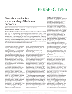 Towards a mechanistic understanding of the human subcortex