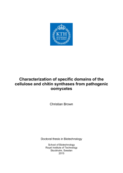 Characterization of specific domains of the cellulose and chitin