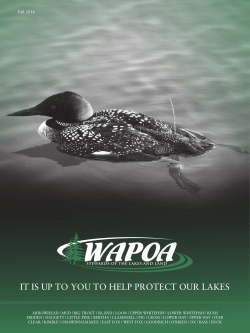 IT IS UP TO YOU TO HELP PROTECT OUR LAKES