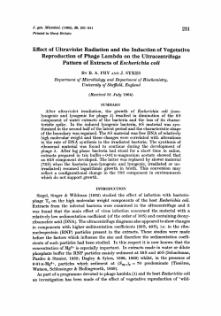Effect of Ultraviolet Radiation and the Induction of