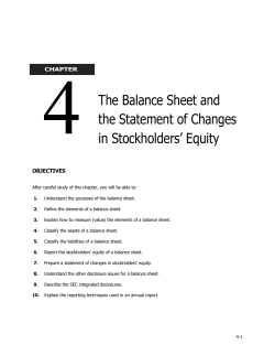 The Balance Sheet and the Statement of Changes in Stockholders