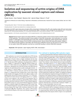 Isolation and sequencing of active origins of DNA replication by