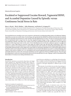 Escalated or Suppressed Cocaine Reward, Tegmental BDNF, and