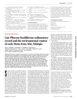 Late Pliocene fossiliferous sedimentary record and the