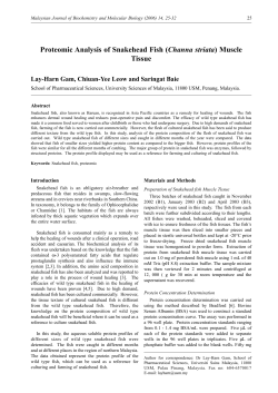 Proteomic Analysis of Snakehead Fish (Channa striata) Muscle Tissue
