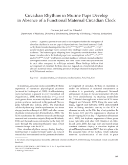Circadian Rhythms in Murine Pups Develop in Absence of a