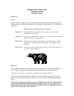 A baby bear is a&hellip; - Wildlife Prairie Park