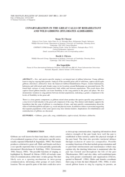 201 covarvariation in the great calls of rehabilitant and wild gibbons