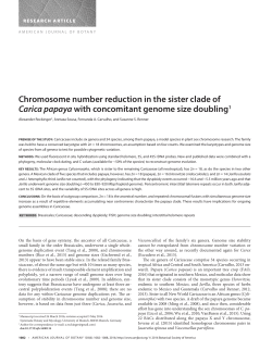 Chromosome number reduction in the sister clade