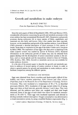 Growth and metabolism in snake embryos