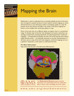 Mapping the Brain