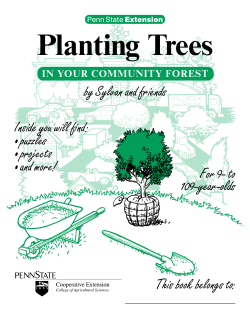 Planting Trees - Penn State Extension
