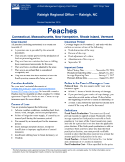 Peaches for Connecticut, Massachusetts, New Hampshire, Rhode