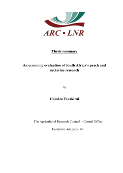An economic evaluation of South Africa`s peach and nectarine