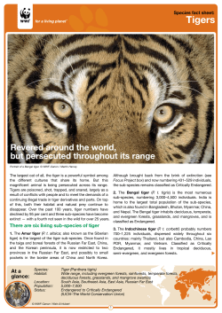 Tigers - WWF Nepal Learning Portal