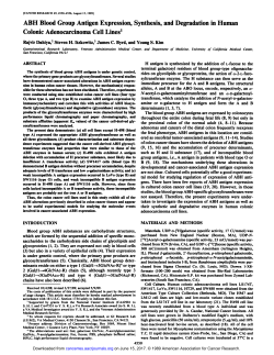 ABH Blood Group Antigen Expression, Synthesis
