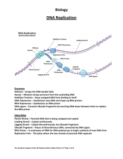 DNA Replication - Daytona State College