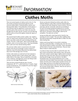 Clothes Moths - Bohart Museum of Entomology