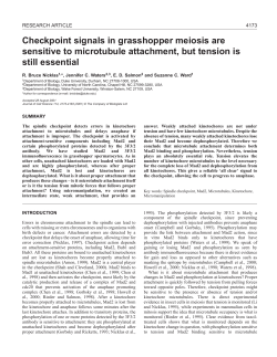 Microtubules, tension and spindle checkpoint