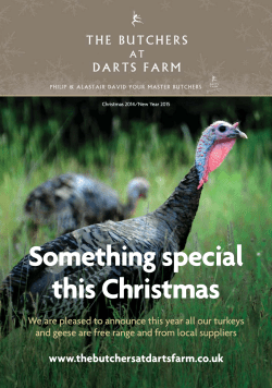 Something special this Christmas