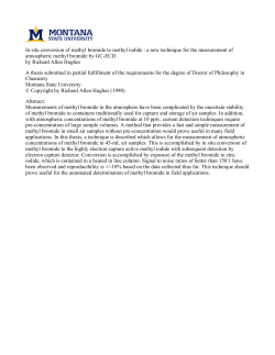 In situ conversion of methyl bromide to methyl iodide