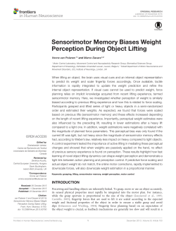 Sensorimotor Memory Biases Weight Perception During Object Lifting