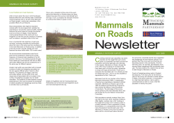Mammals on Roads - People`s Trust for Endangered Species