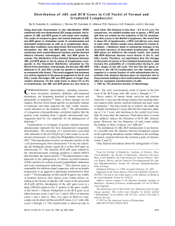 Distribution of ABL and BCR Genes in Cell Nuclei of