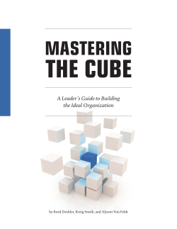 MASTERING THE CUBE - AlignOrg Solutions
