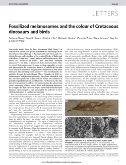 Fossilized melanosomes and the colour of Cretaceous