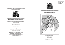 KER016 Vanilla Pollination - PNG National Agricultural Research