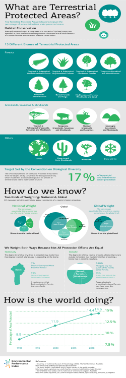 Terrestrial Protected Areas Infographic