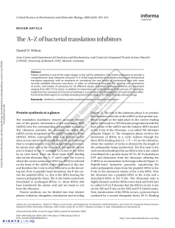 The A&ndash;Z of bacterial translation inhibitors