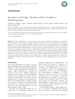 Speciation in Red Algae: Members of the