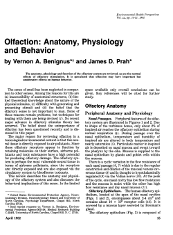Olfaction: Anatomy, Physiology and Behavior