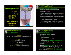 Photosynthesis and Respiration