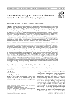 Ancient feeding, ecology and extinction of Pleistocene horses from