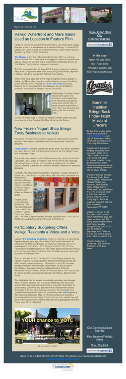 Frozen Swirls - Participatory Budgeting Vote - Friday