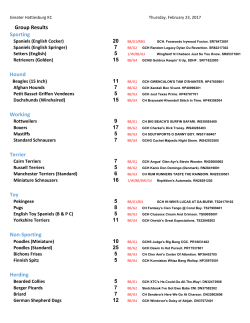 Thursday - Foy Trent Dog Shows